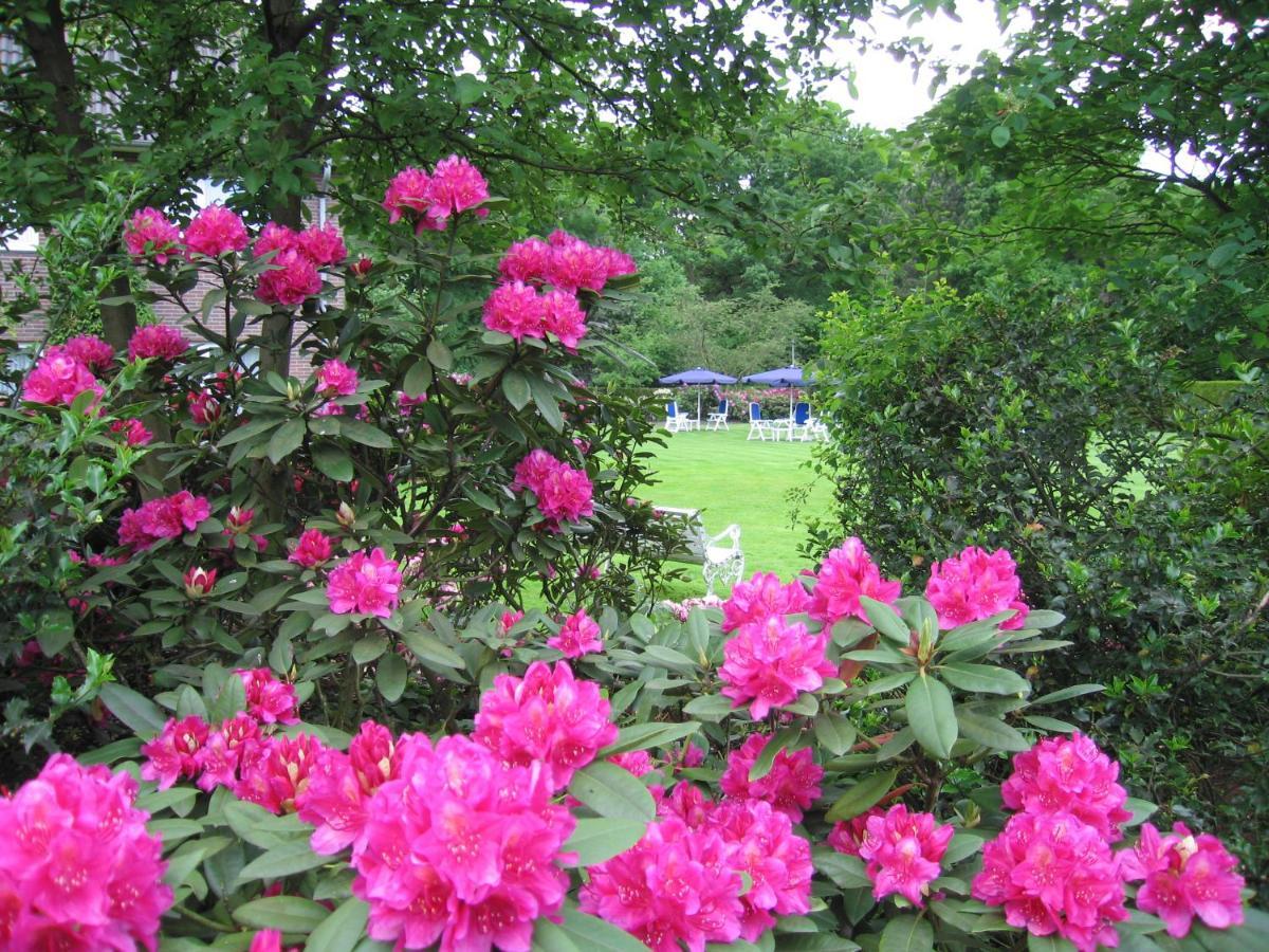 Hotel Zum Rosenteich Bad Zwischenahn Buitenkant foto